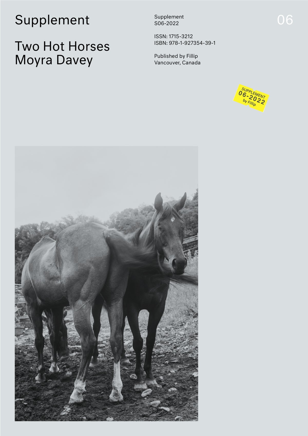 Supplement 6 Moyra Davey: Two Hot Horses