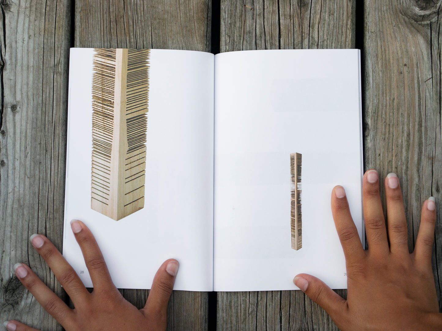On The Surface | Susana Reisman