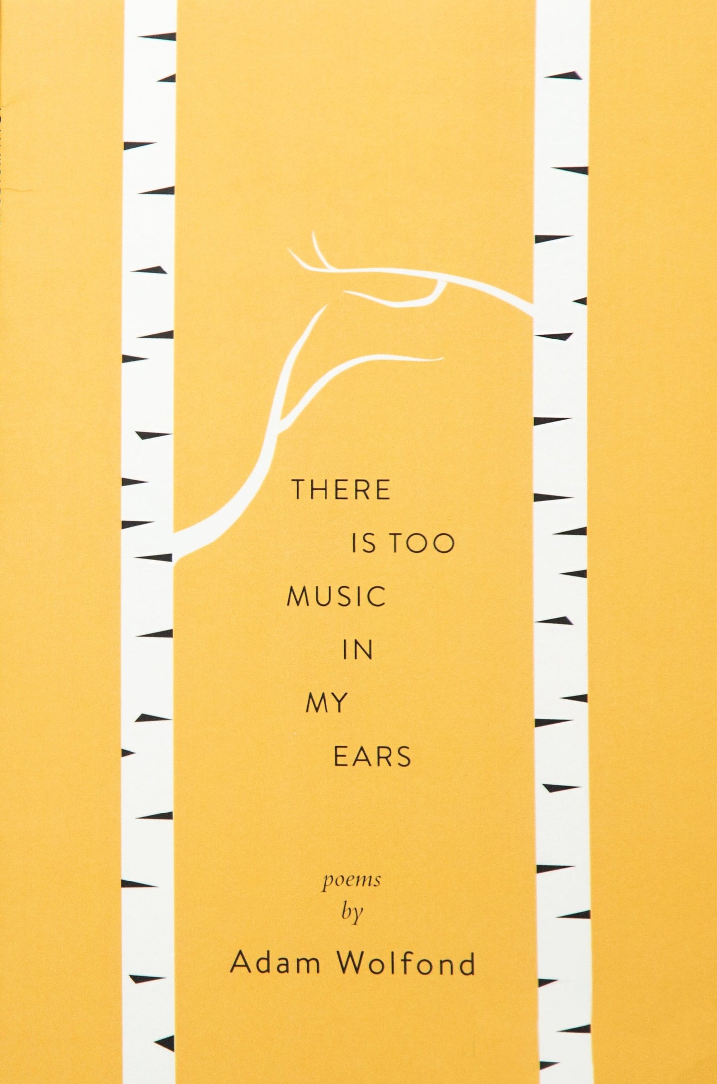 There is Too Music in my Ears