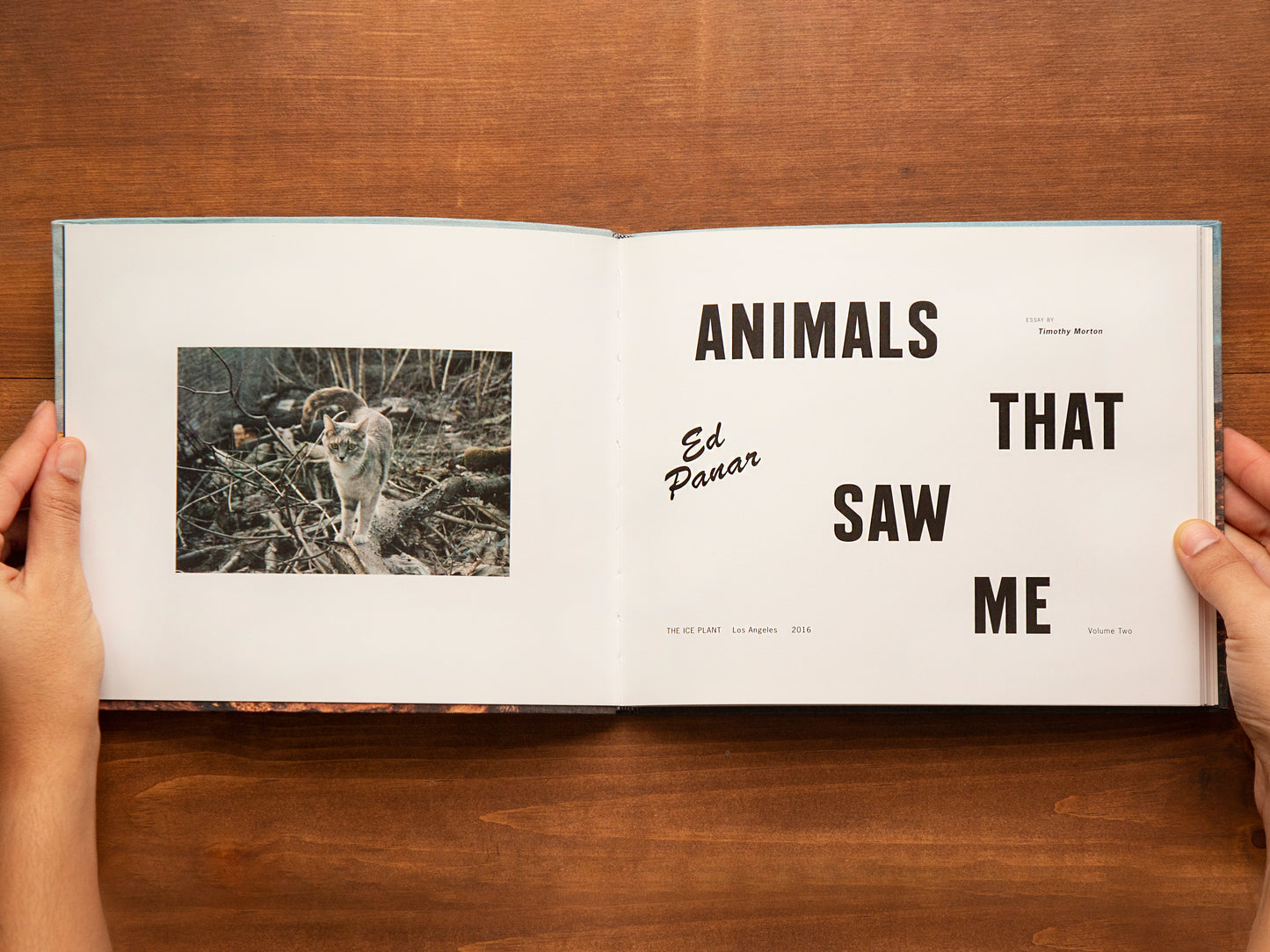 Animals That Saw Me, Volume Two