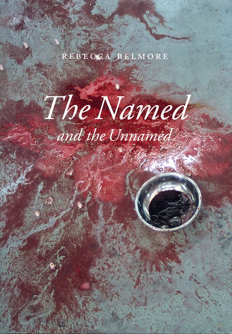 Rebecca Belmore: The Named and the Unnamed