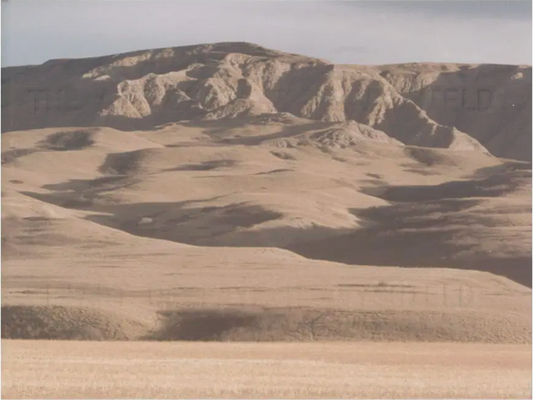 The Art of Faye HeavyShield