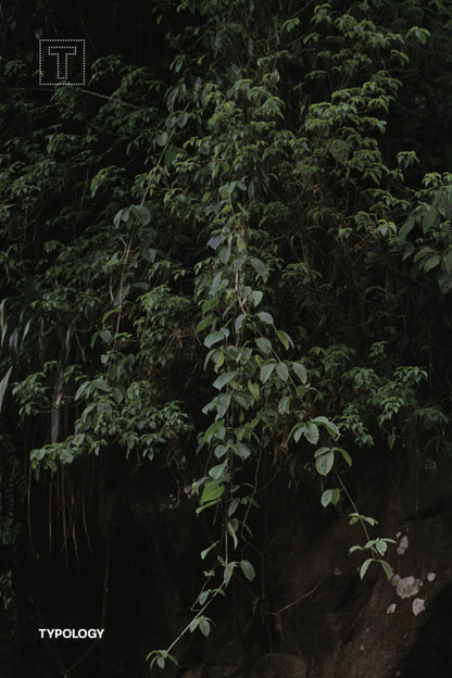 The New Gods | Alejandro Garcia Contreras and Josée Pedneault