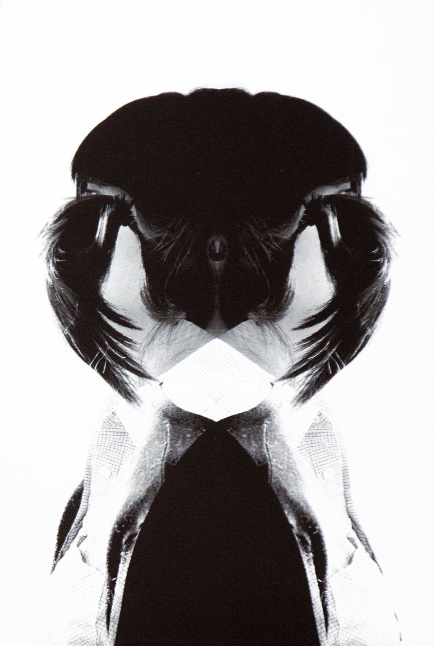 Alien/Recognition (Mimi) Limited Edition Print