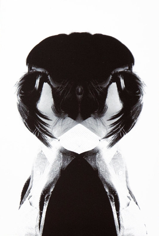 Alien/Recognition (Mimi) Limited Edition Print